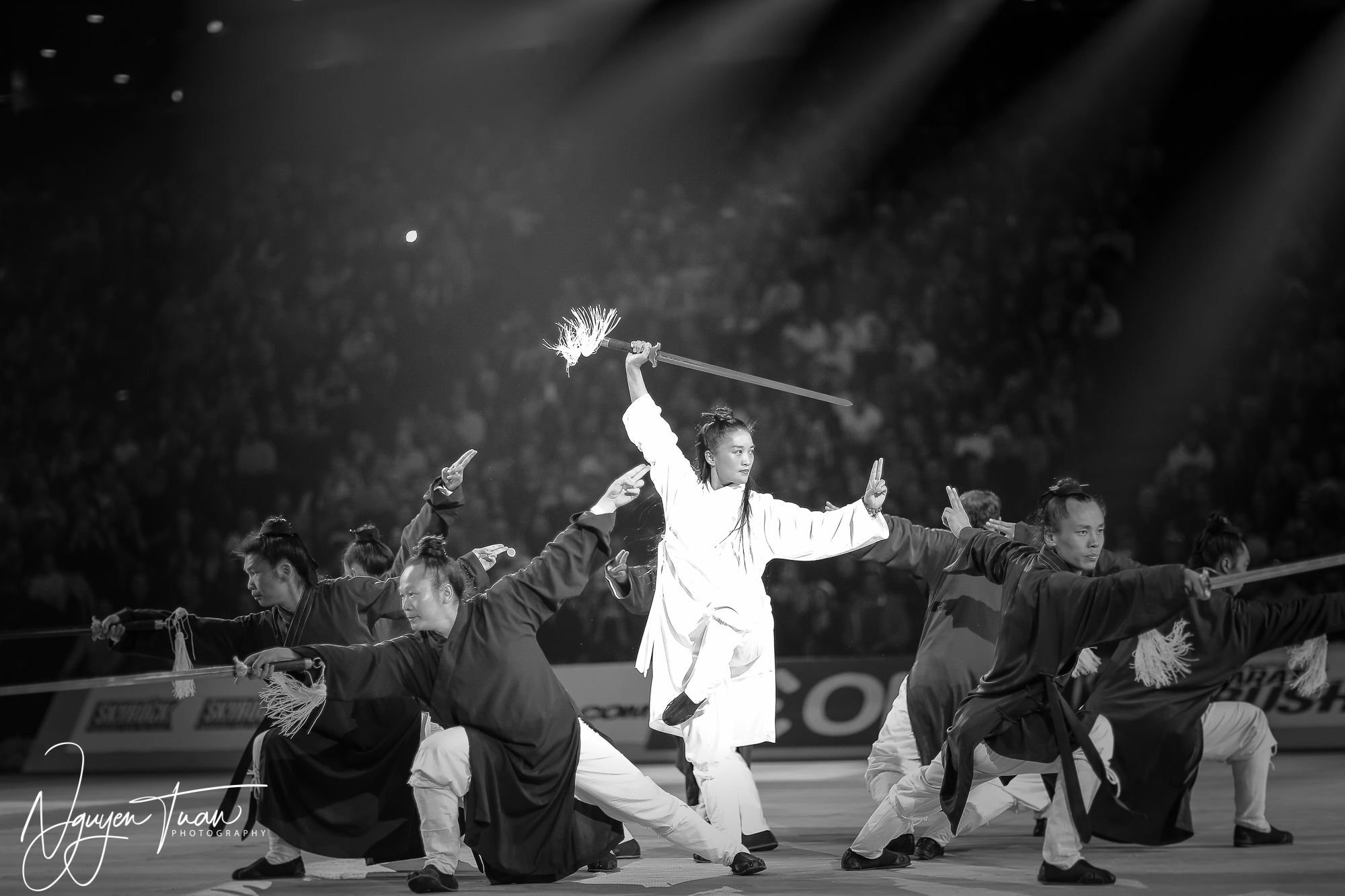 20190324 Festival des Arts Martiaux 2360